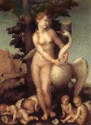 Andrea del Sarto Swan oil on canvas